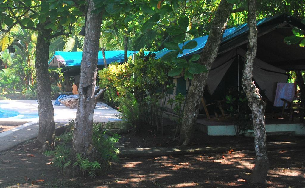Rafiki Beach Camp Matapalo  Habitación foto