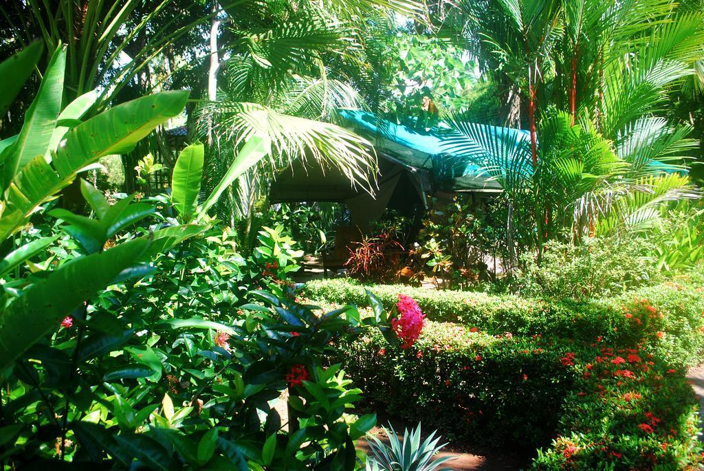 Rafiki Beach Camp Matapalo  Habitación foto